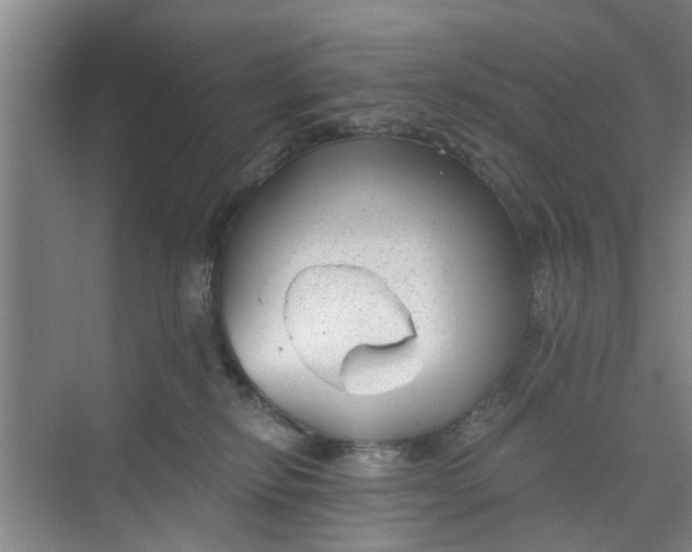 X0000068750278200605121618