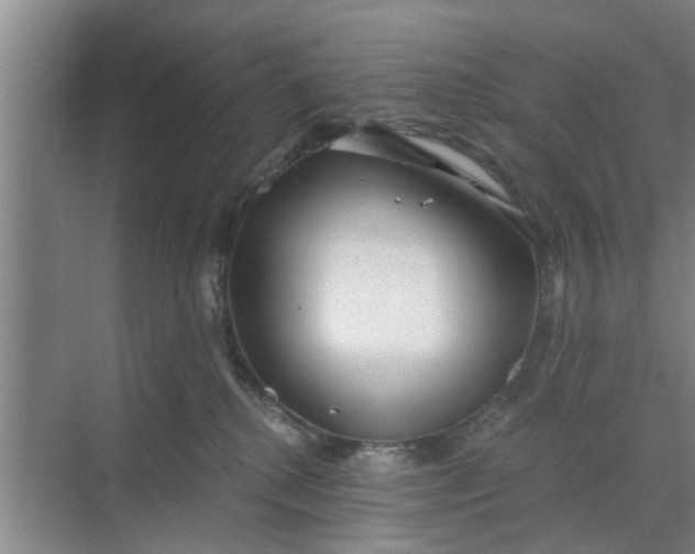 X0000068750280200605121618