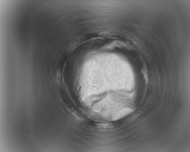 X0000068750281200605121618