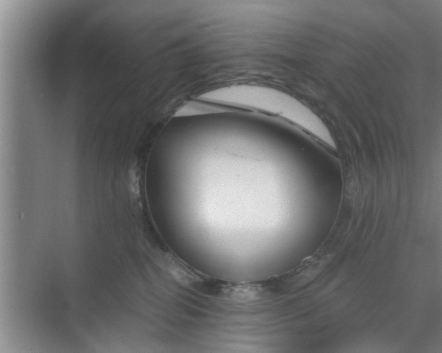 X0000068750282200605121618