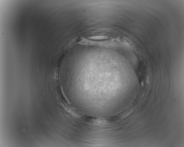 X0000068750284200605121618