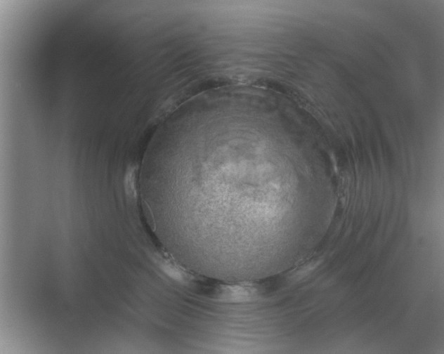 X0000068750286200605121618