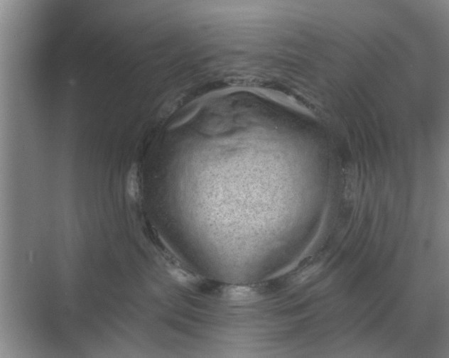 X0000068750287200605121618