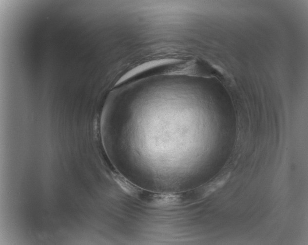 X0000068750288200605121618