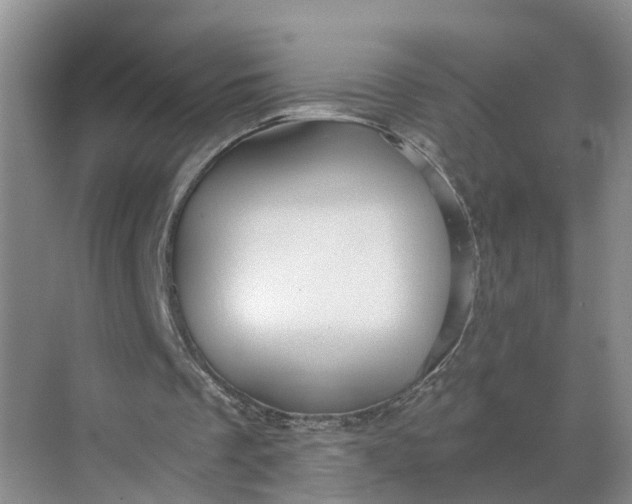 X0000068750289200605121617