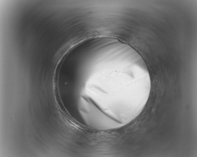 X0000068750290200605121617