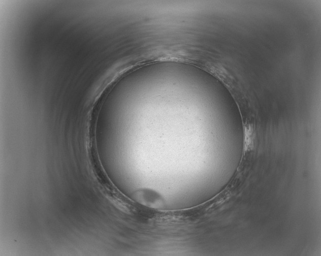 X0000068750291200605121617