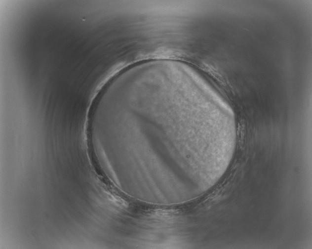 X0000068750292200605121617