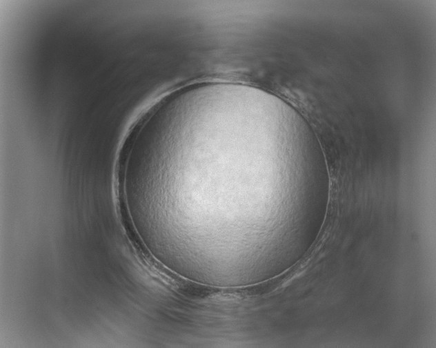 X0000068750294200605121617