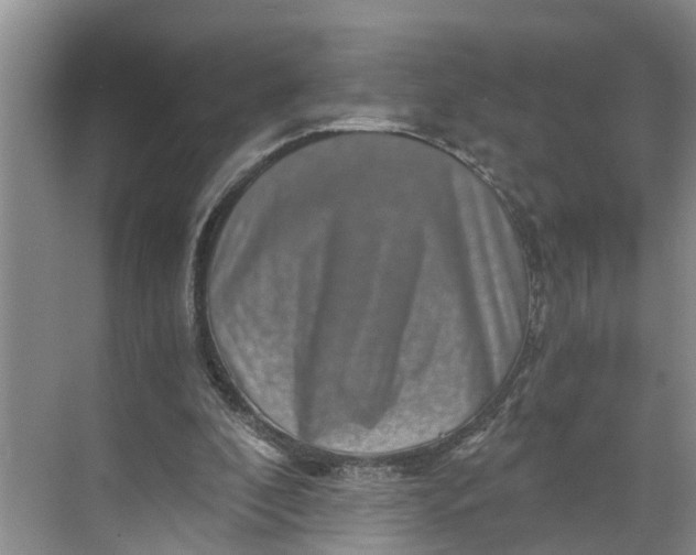 X0000068750296200605121617