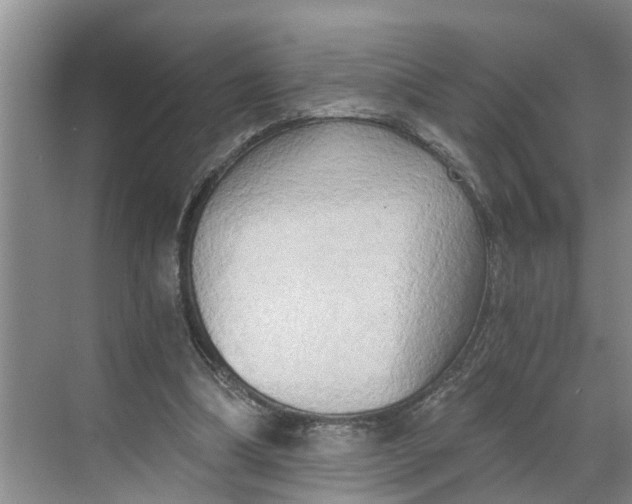 X0000068750298200605121617