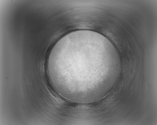 X0000068750299200605121617