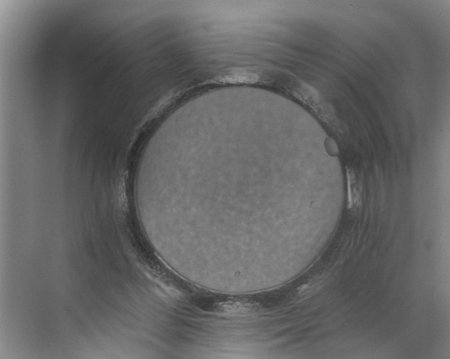 X0000068750300200605121617