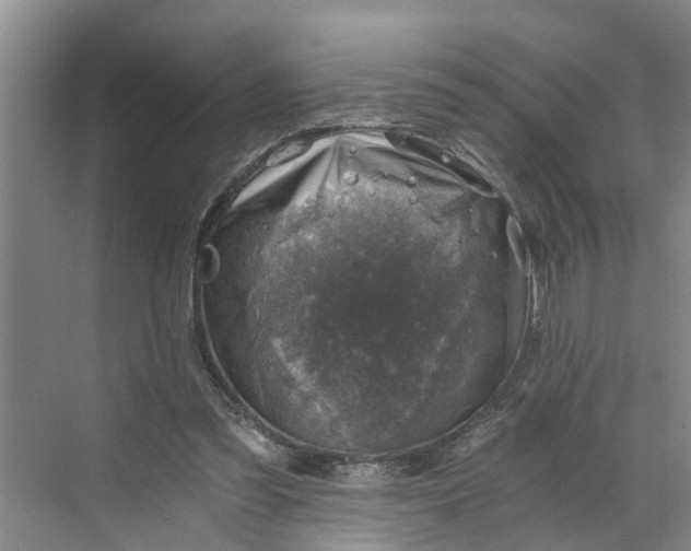 X0000068750301200605121617