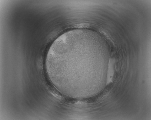 X0000068750303200605121617