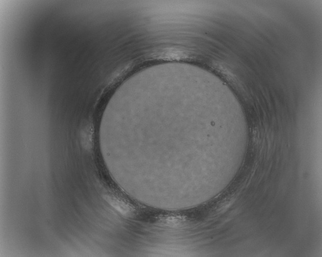 X0000068750304200605121617