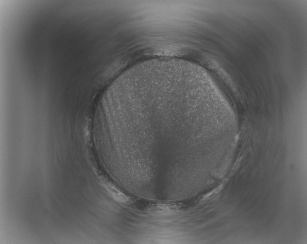 X0000068750305200605121617