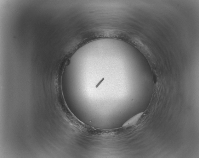 X0000068750306200605121617