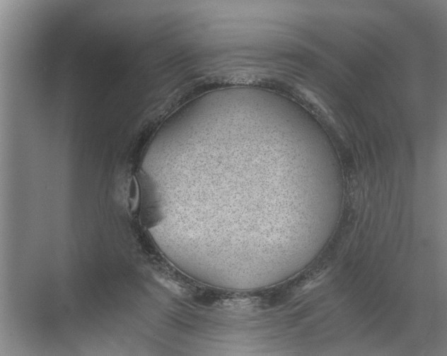 X0000068750307200605121617