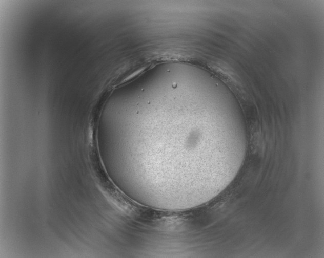 X0000068750310200605121617