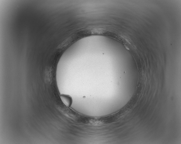 X0000068750311200605121616