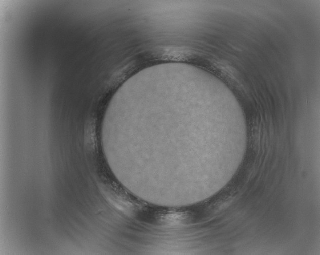 X0000068750312200605121616