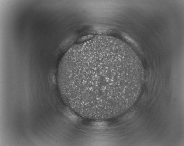 X0000068750313200605121616