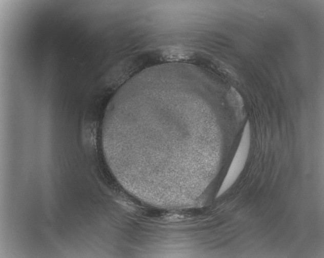 X0000068750315200605121616