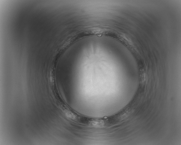 X0000068750317200605121616