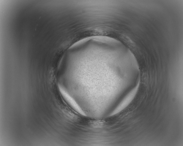 X0000068750318200605121616