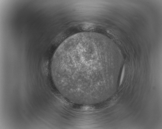 X0000068750319200605121616