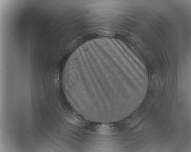 X0000068750320200605121616