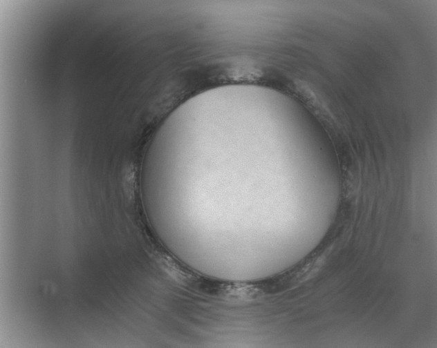 X0000068750321200605121616