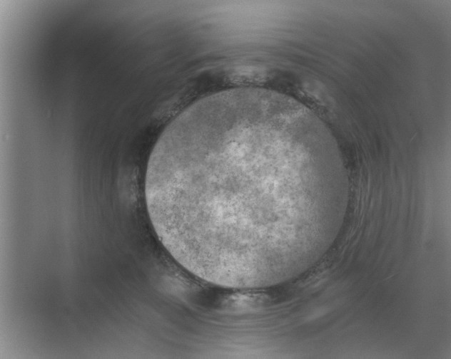 X0000068750323200605121616