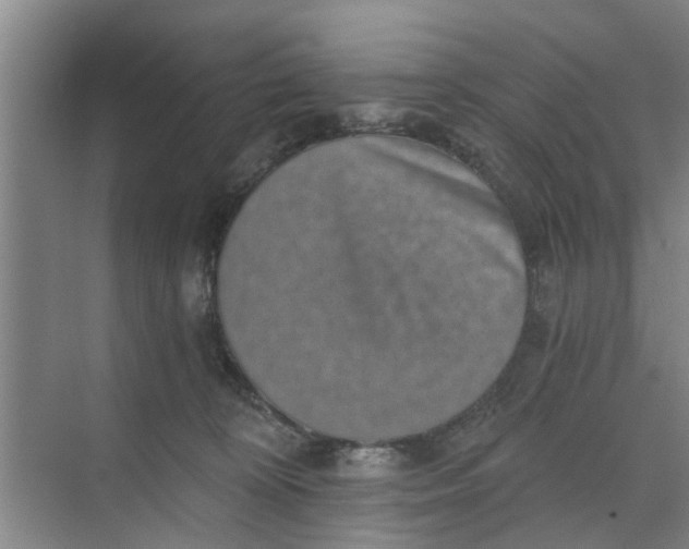 X0000068750324200605121616