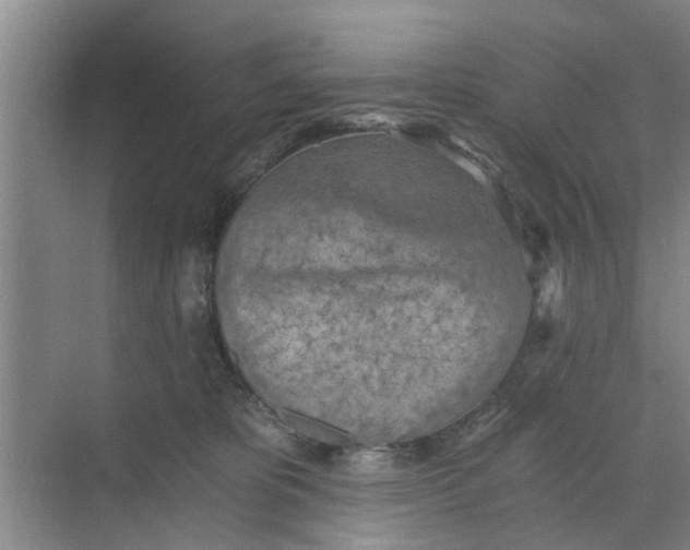 X0000068750325200605121616