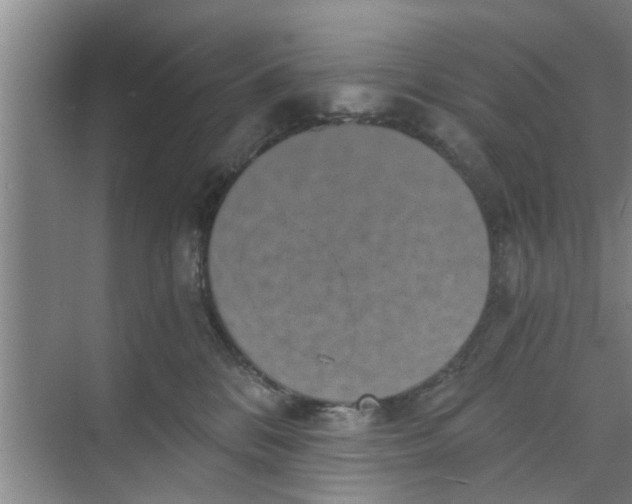 X0000068750328200605121616