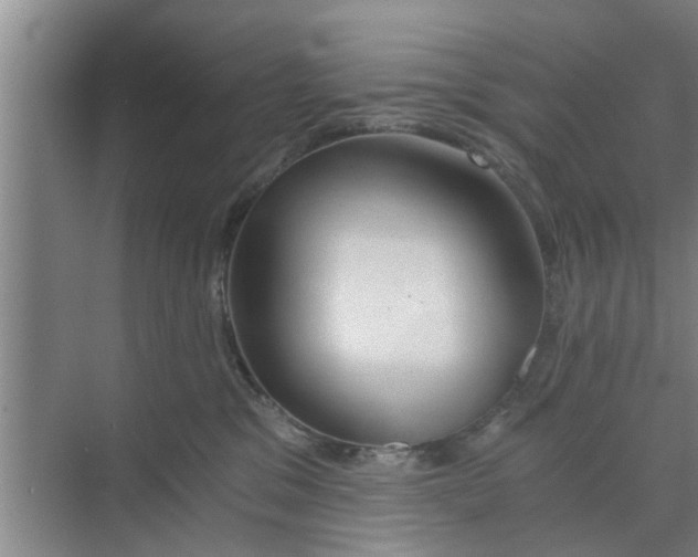 X0000068750329200605121616