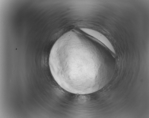 X0000068750330200605121616