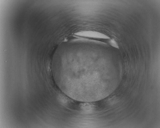 X0000068750331200605121616