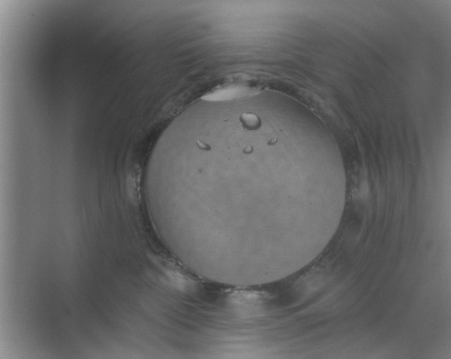 X0000068750332200605121616