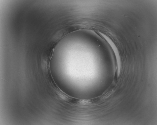 X0000068750333200605121616