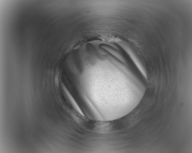 X0000068750334200605121616