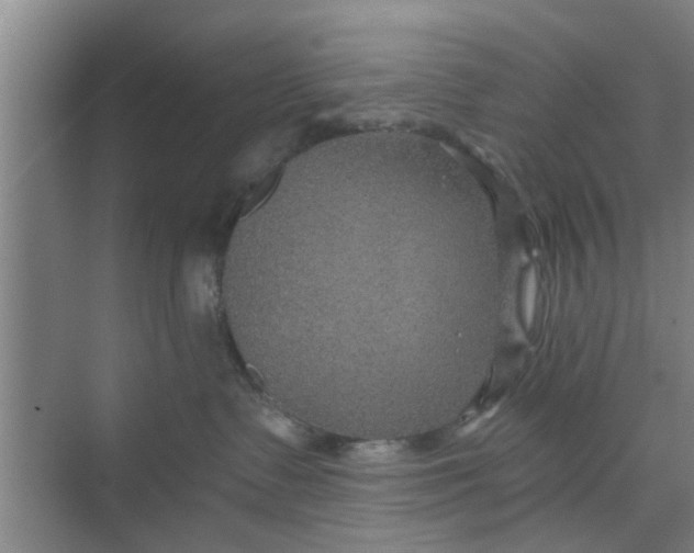 X0000068750335200605121616