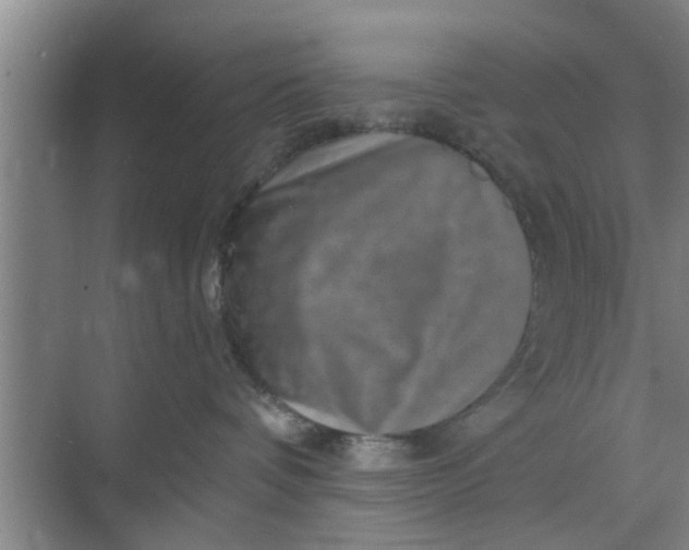 X0000068750336200605121616