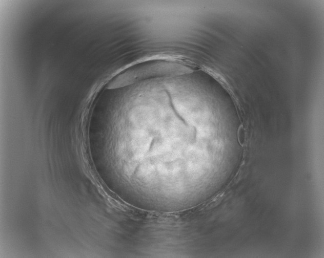 X0000068750337200605121615