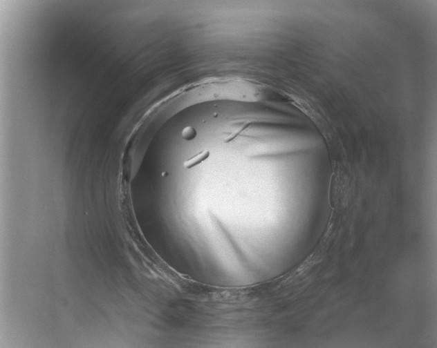 X0000068750338200605121615