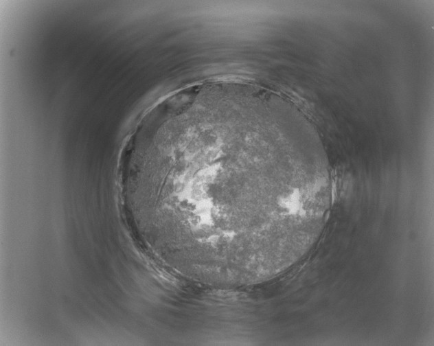 X0000068750339200605121615