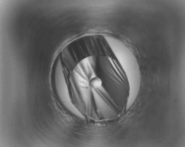 X0000068750340200605121615