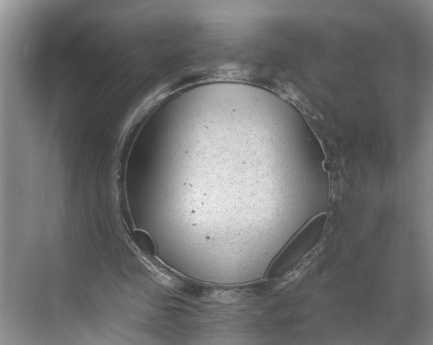 X0000068750341200605121615